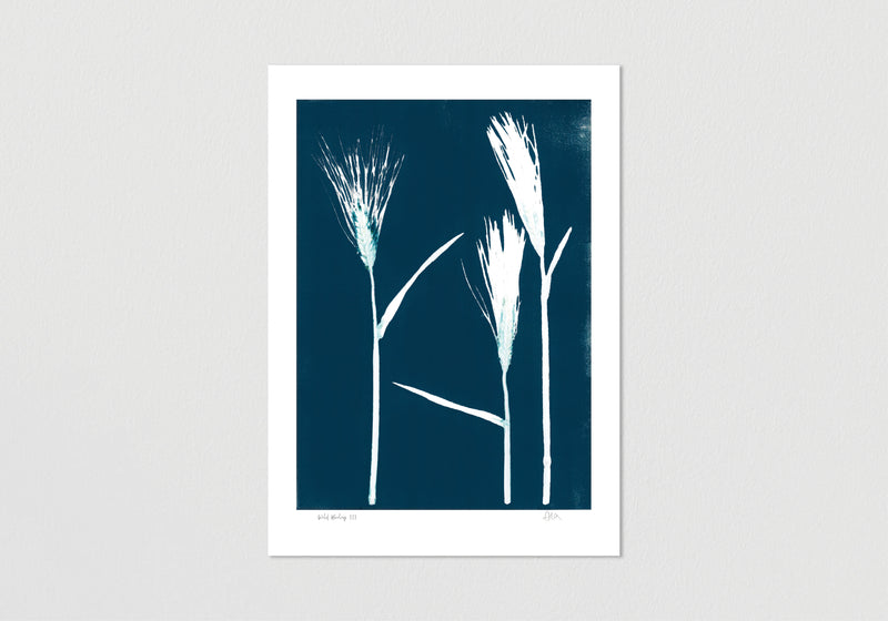 Set of 4 Wild Barley Prints